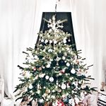 Home for Christmas with the family, already eating too much cheese and watching Elf for the hundredth time... Perfection! Have a wonderful time this weekend, whether you're celebrating or not, and thank you for making this year so special with all your lovely Vlogmas comments 🎄❤ The last one will be up tomorrow morning! Sleep tight!